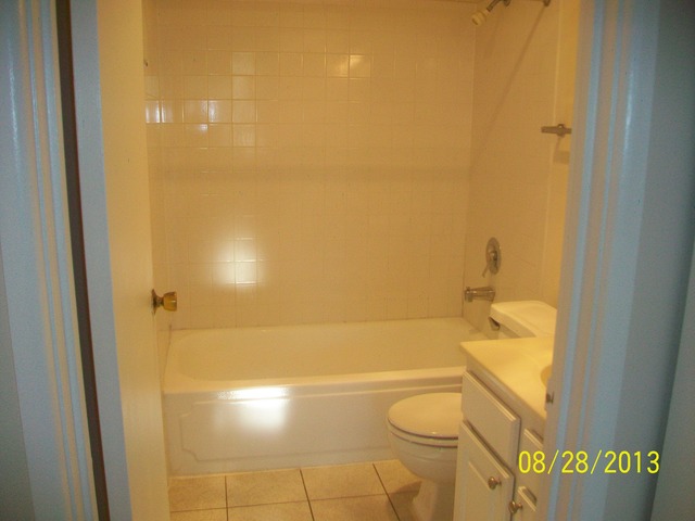 904 Ridge Square, Unit 110 Elk Grove Village, IL 60007 - Photo 9 of 10 a bathroom with a granite countertop toilet and a shower