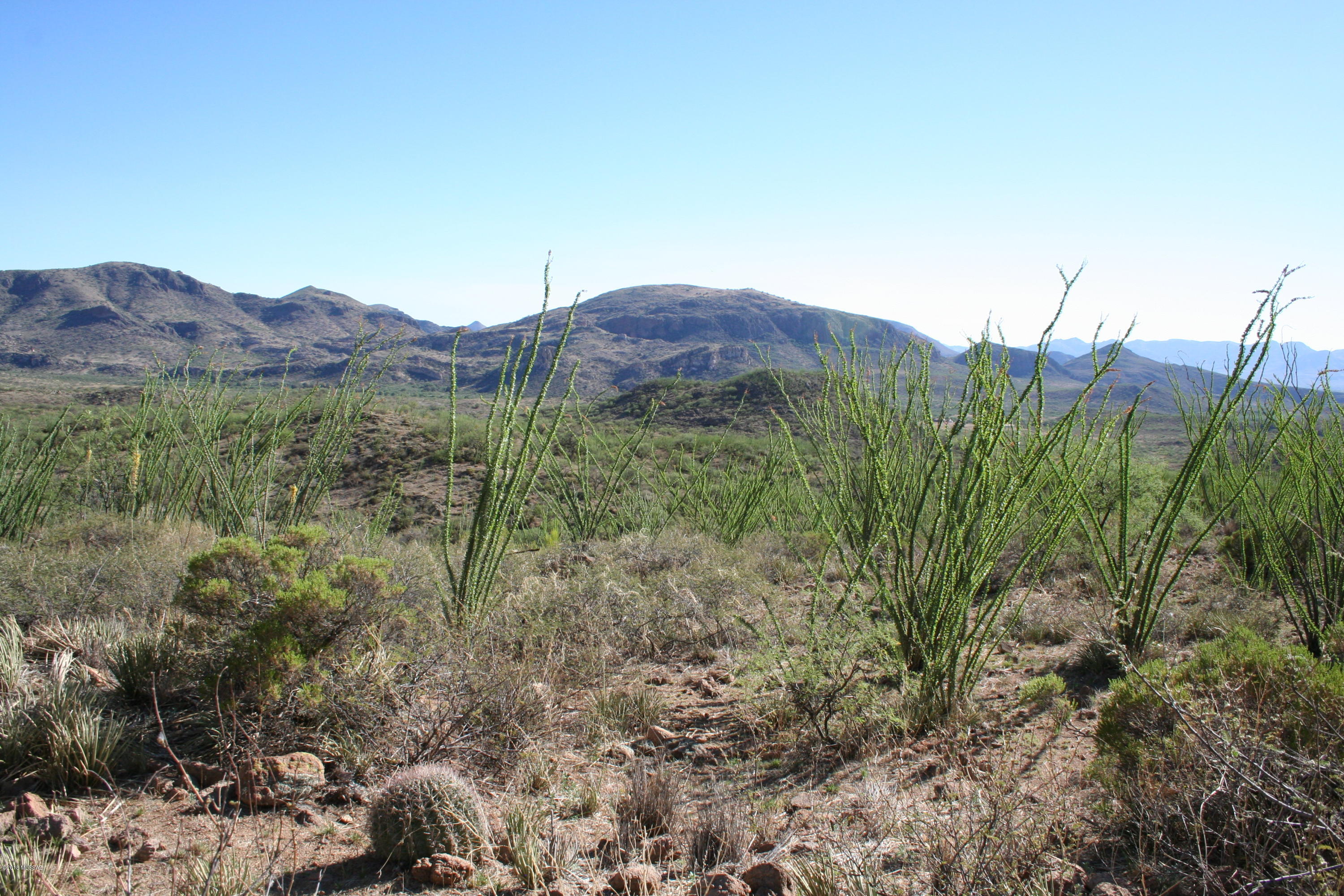 37 Copper Canyon Road, Unit 140 Rio Rico, AZ 85648 - Photo 8 of 17 IMG_9450