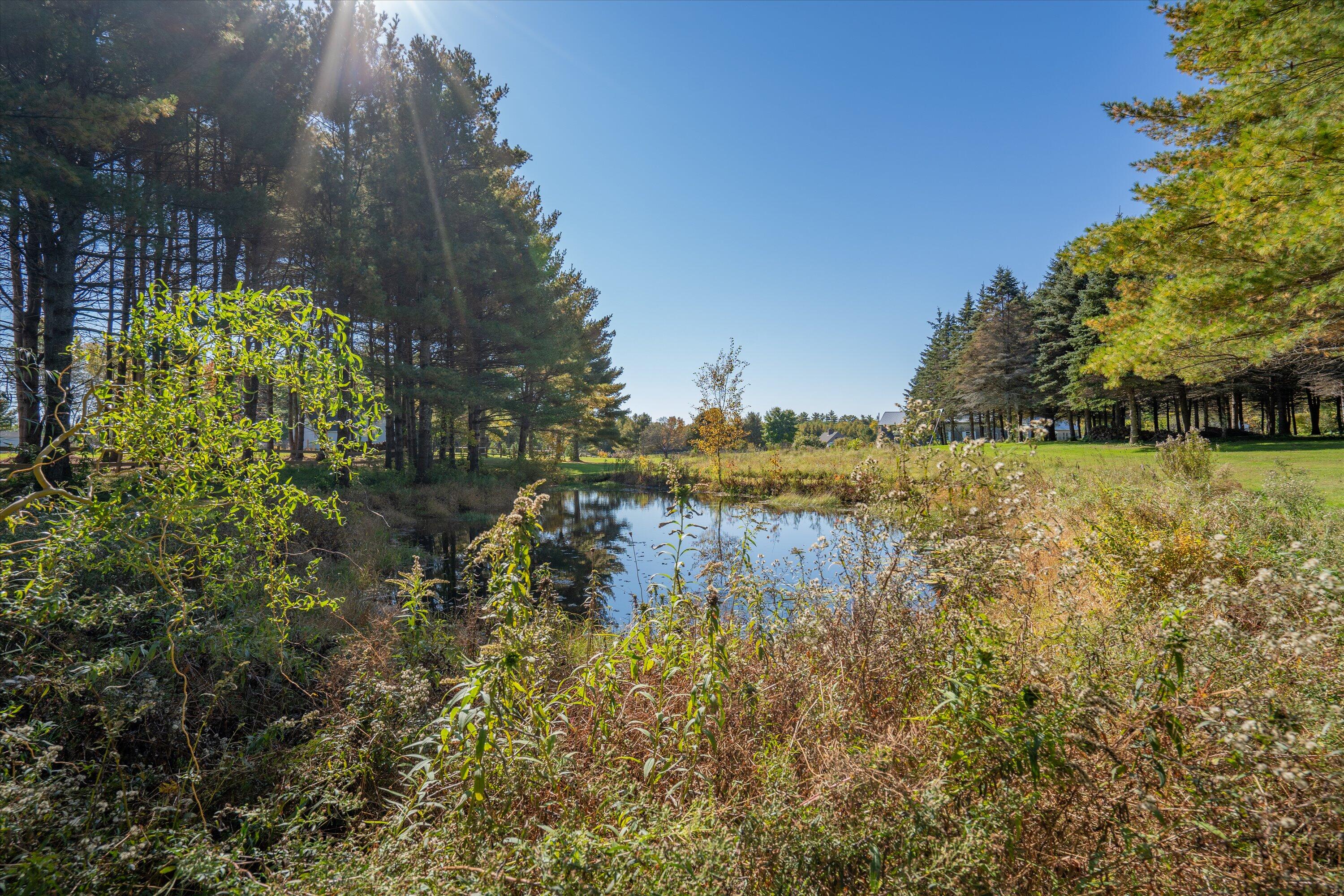 114 Day Road Lyman, ME 04002 - Photo 51 of 75 Pond