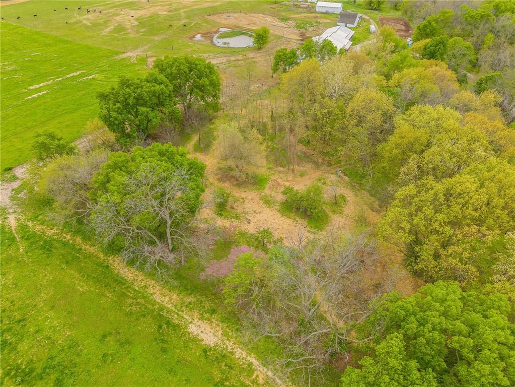 15817 Plattsburg Road Kearney, MO 64060 - Photo 4 of 7