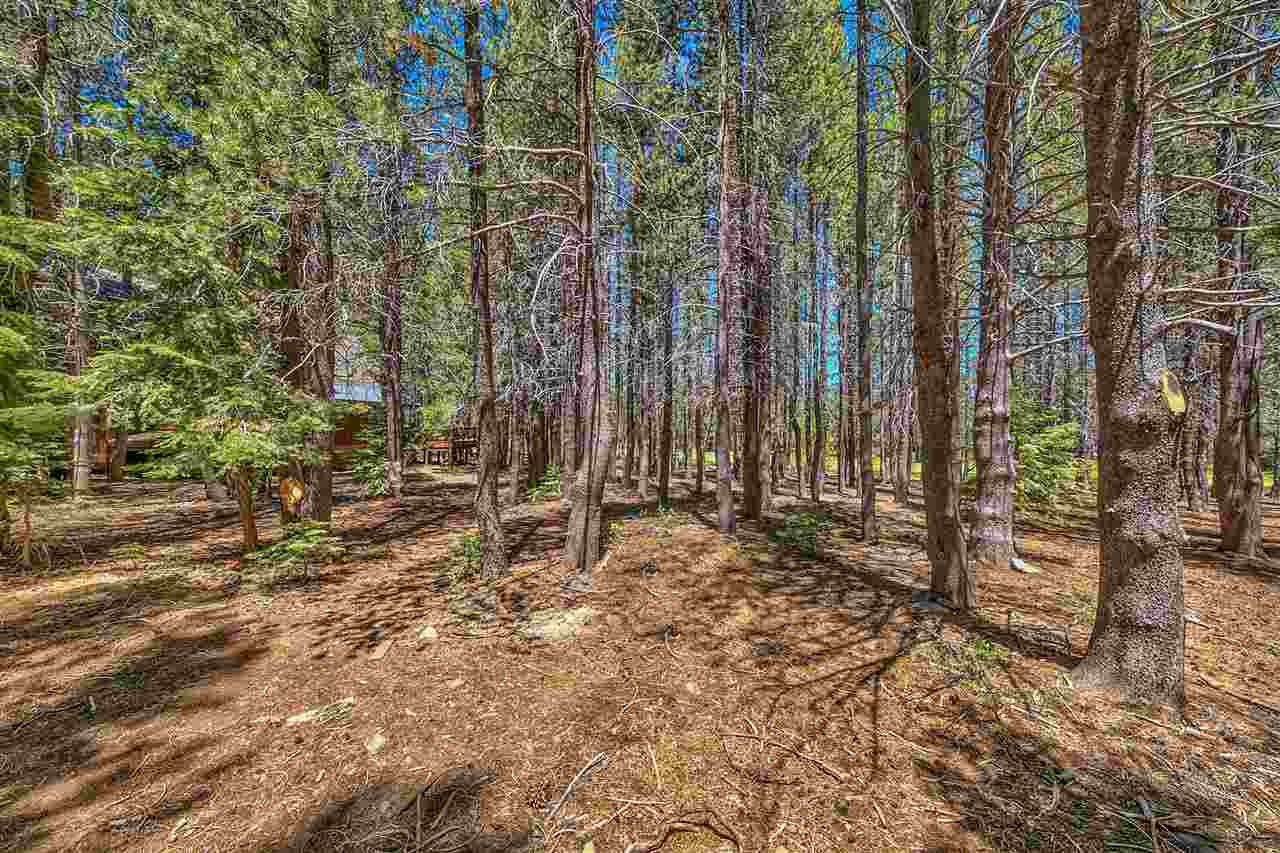 14654 Davos Drive Truckee, CA 96161 - Photo 7 of 12