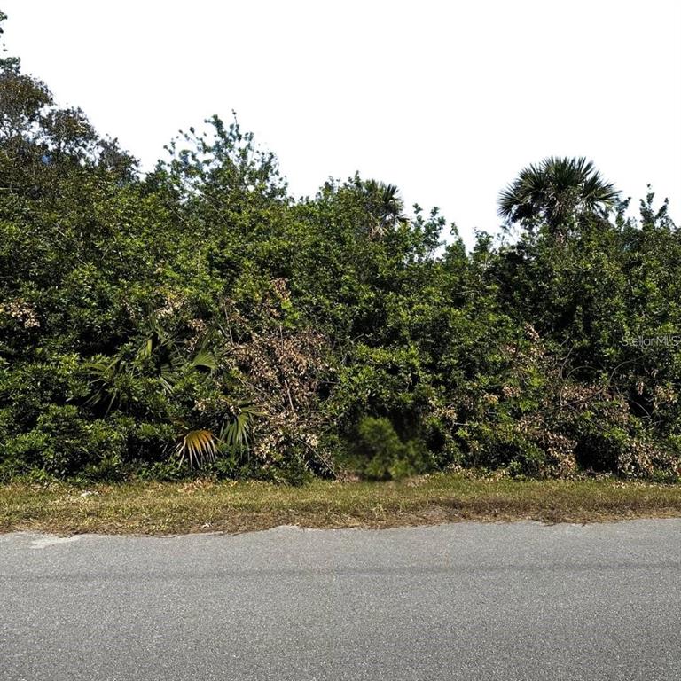 38th Avenue Southeast Naples, FL 34117 - Photo 1 of 7 a view of a yard