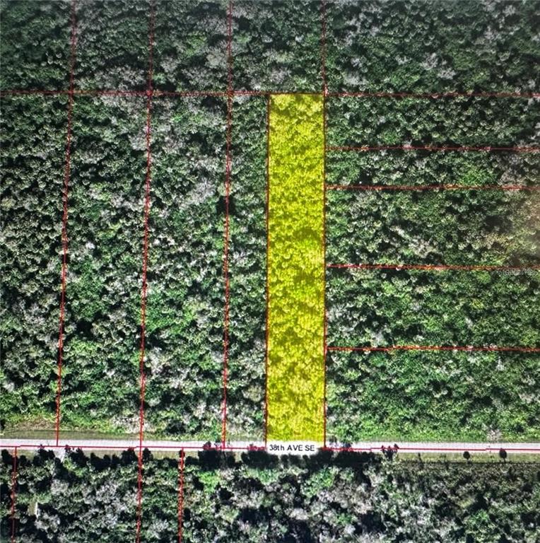 38th Avenue Southeast Naples, FL 34117 - Photo 6 of 7 a view of yard