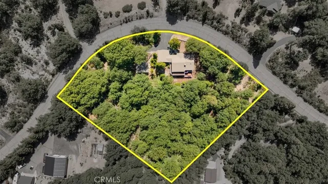 a view of swimming pool with a garden