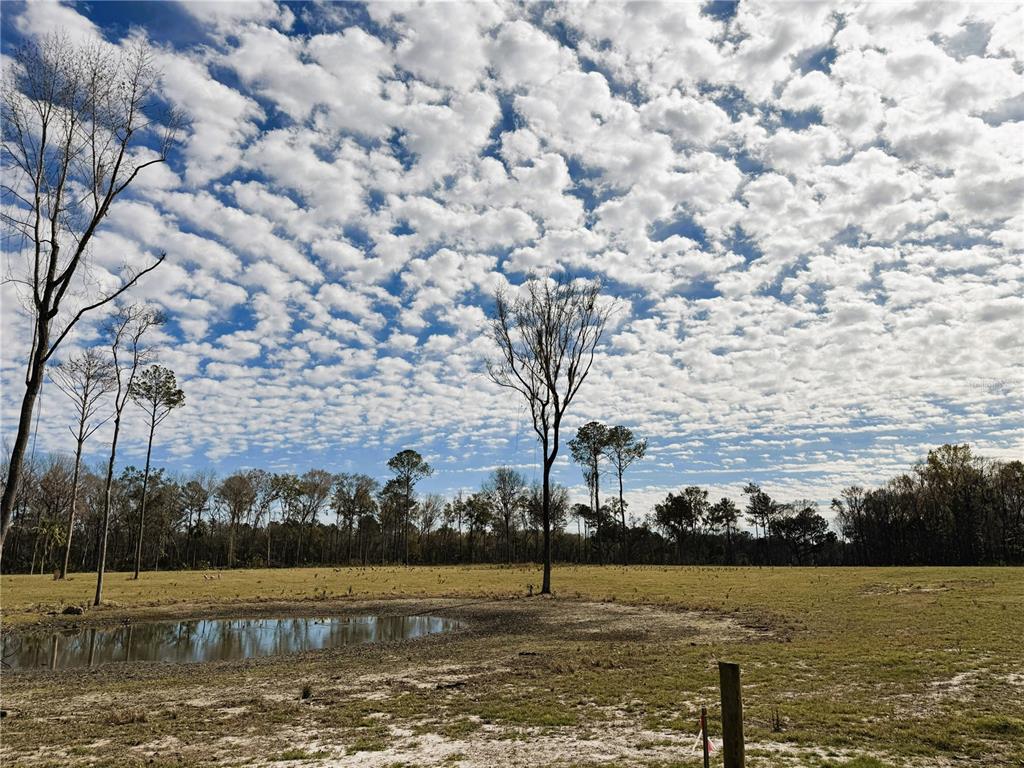 3 Northwest 193rd Street Reddick, FL 32686 - Photo 8 of 10 a view of a lake with a city view