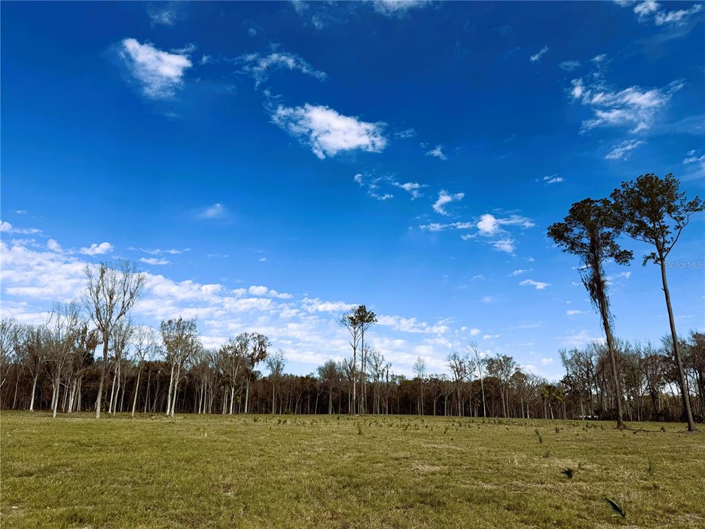 3 Northwest 193rd Street Reddick, FL 32686 - Photo 10 of 10 a view of a yard with a house