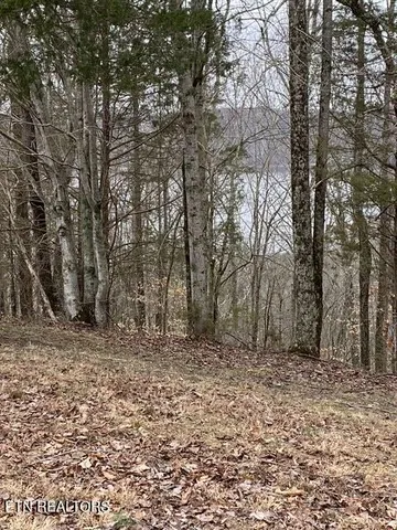 $599,929 | 13.31-ac Austin Ridge Road, Baxter, TN 38544