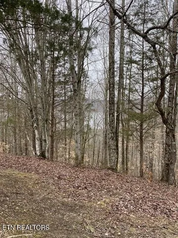 $599,929 | 13.31-ac Austin Ridge Road, Baxter, TN 38544