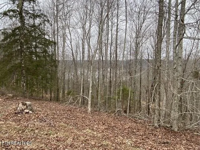 $599,929 | 13.31-ac Austin Ridge Road, Baxter, TN 38544