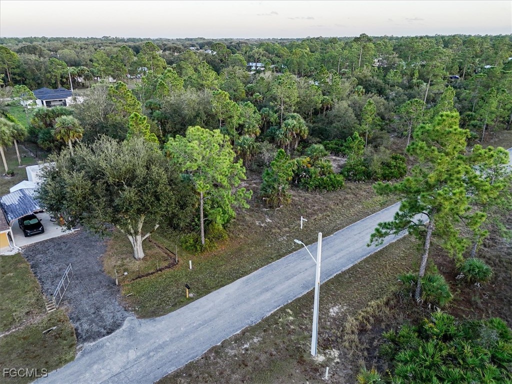 2310 Louis Avenue Alva, FL 33920 - Photo 30 of 32