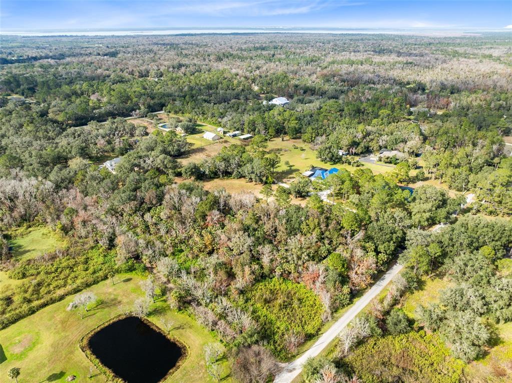 1630 Murphy Street Oviedo, FL 32765 - Photo 14 of 17 a view of a city with lush green forest