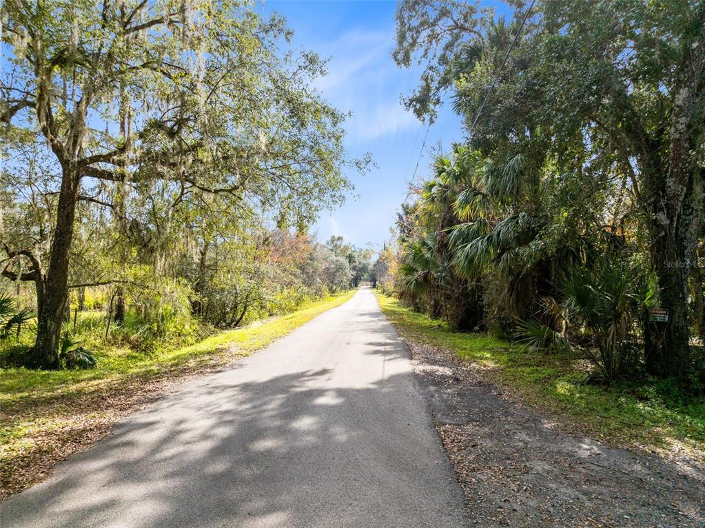 1630 Murphy Street Oviedo, FL 32765 - Photo 15 of 17 a view of a yard with plants and trees