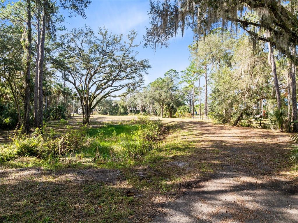1630 Murphy Street Oviedo, FL 32765 - Photo 17 of 17 a view of outdoor space with garden