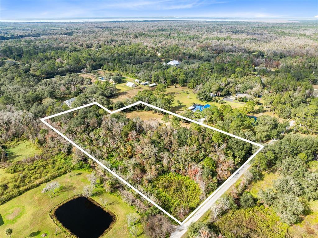 1630 Murphy Street Oviedo, FL 32765 - Photo 6 of 17 a view of a forest with a mountain