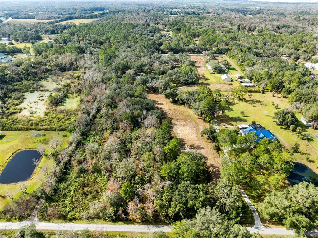 1630 Murphy Street Oviedo, FL 32765 - Photo 7 of 17 a view of a garden