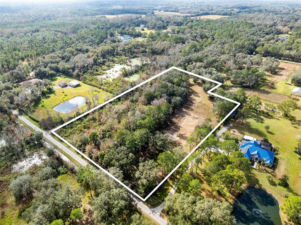1630 Murphy Street Oviedo, FL 32765 - Photo 9 of 17 an aerial view of a forest