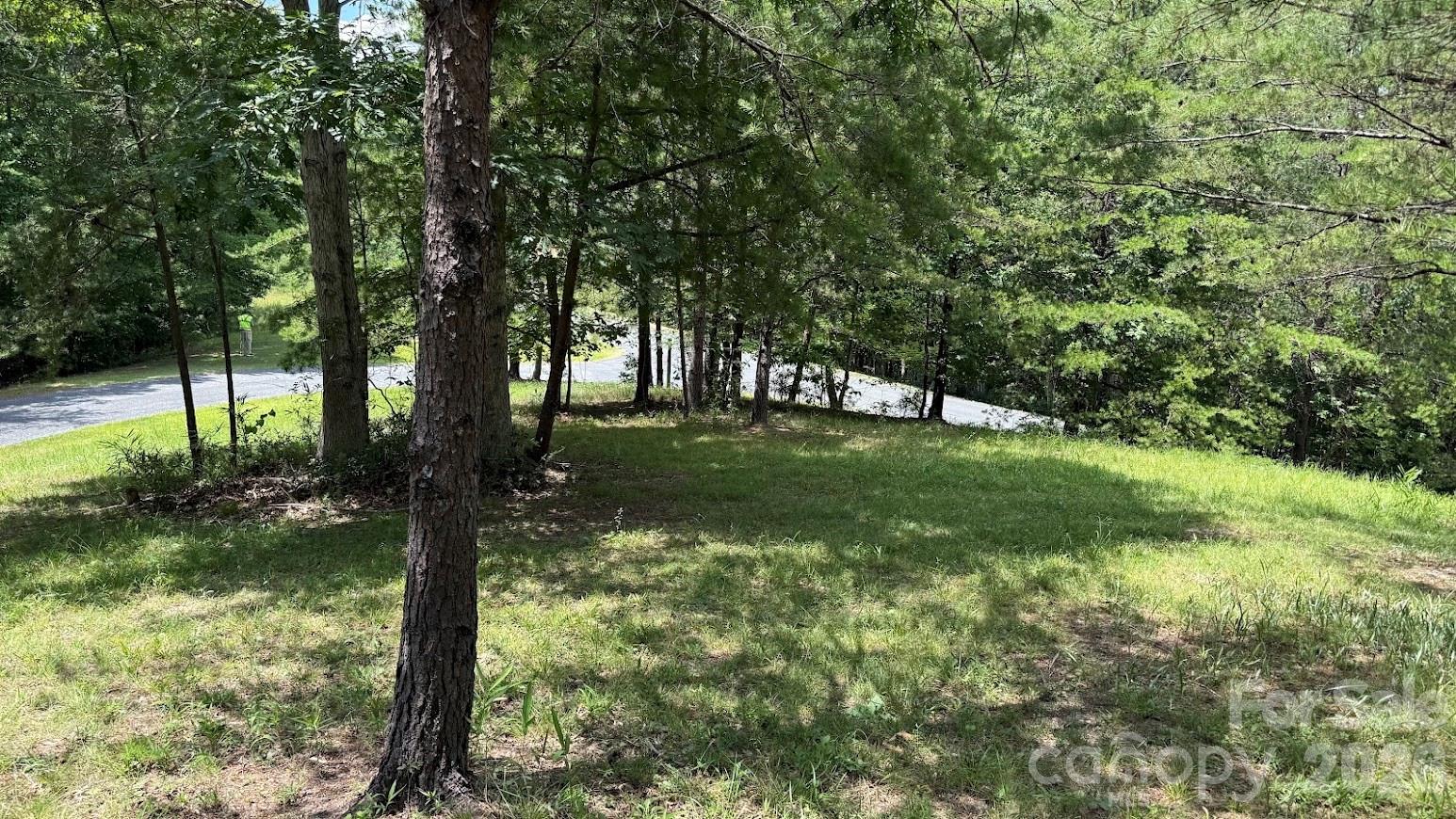 0 Fallen Tree Lane, Unit 19 Mill Spring, NC 28756 - Photo 3 of 12
