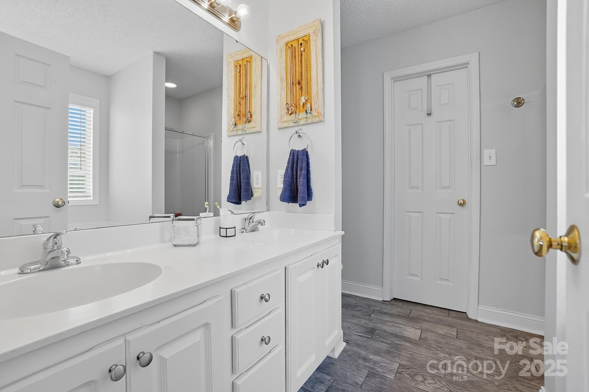12639 Hill Pine Road Midland, NC 28107 - Photo 24 of 45 a bathroom with a double vanity sink and mirror