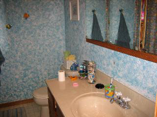 13787 Alton Road Monroe, MI 48161 - Photo 9 of 9 MAIN BATH