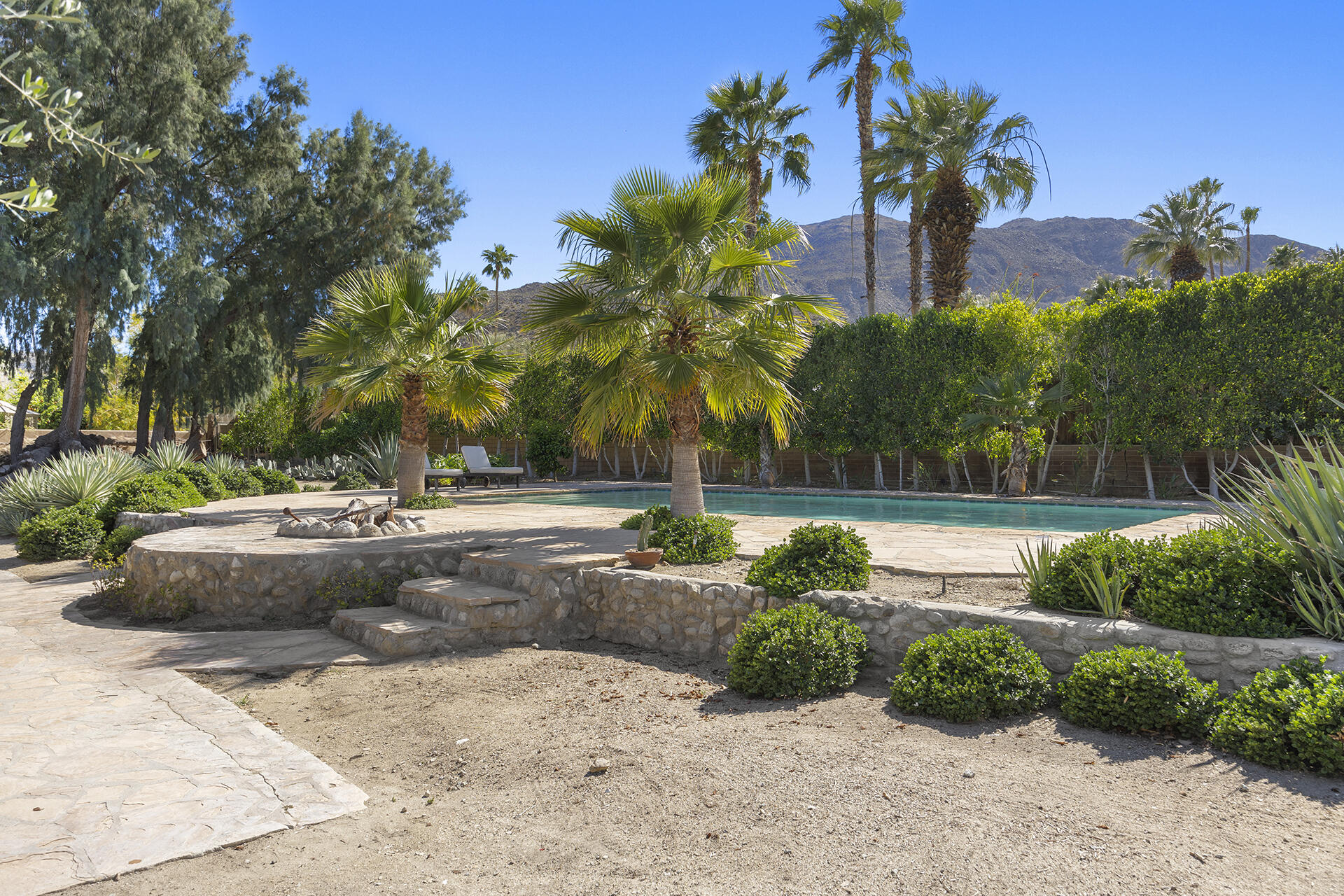 71845 Sahara Road Rancho Mirage, CA 92270 - Photo 24 of 27 a view of a yard with palm tree