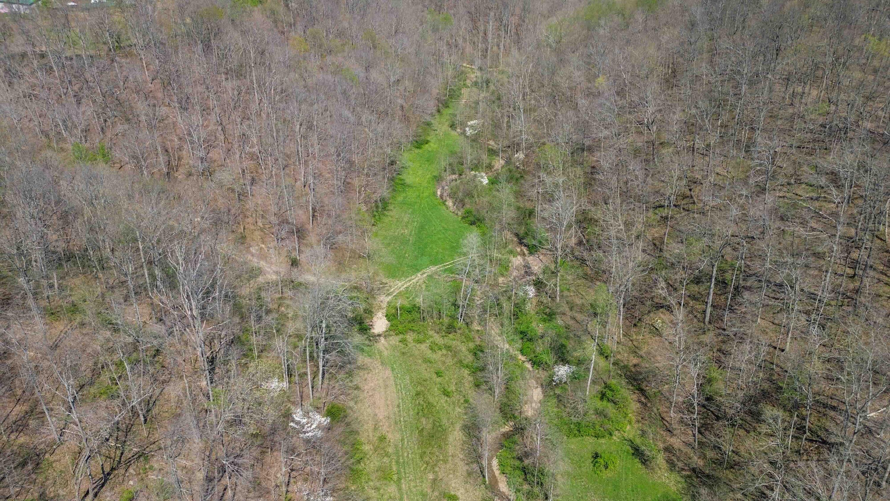 1461 Greasy Ridge Road Waynesburg, KY 40489 - Photo 39 of 40 012