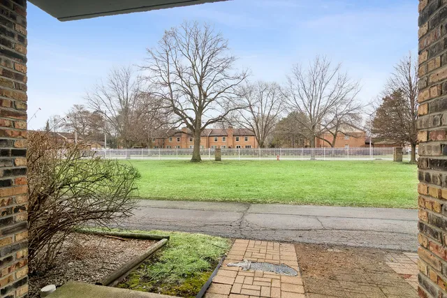 a view of a yard with plants and large trees