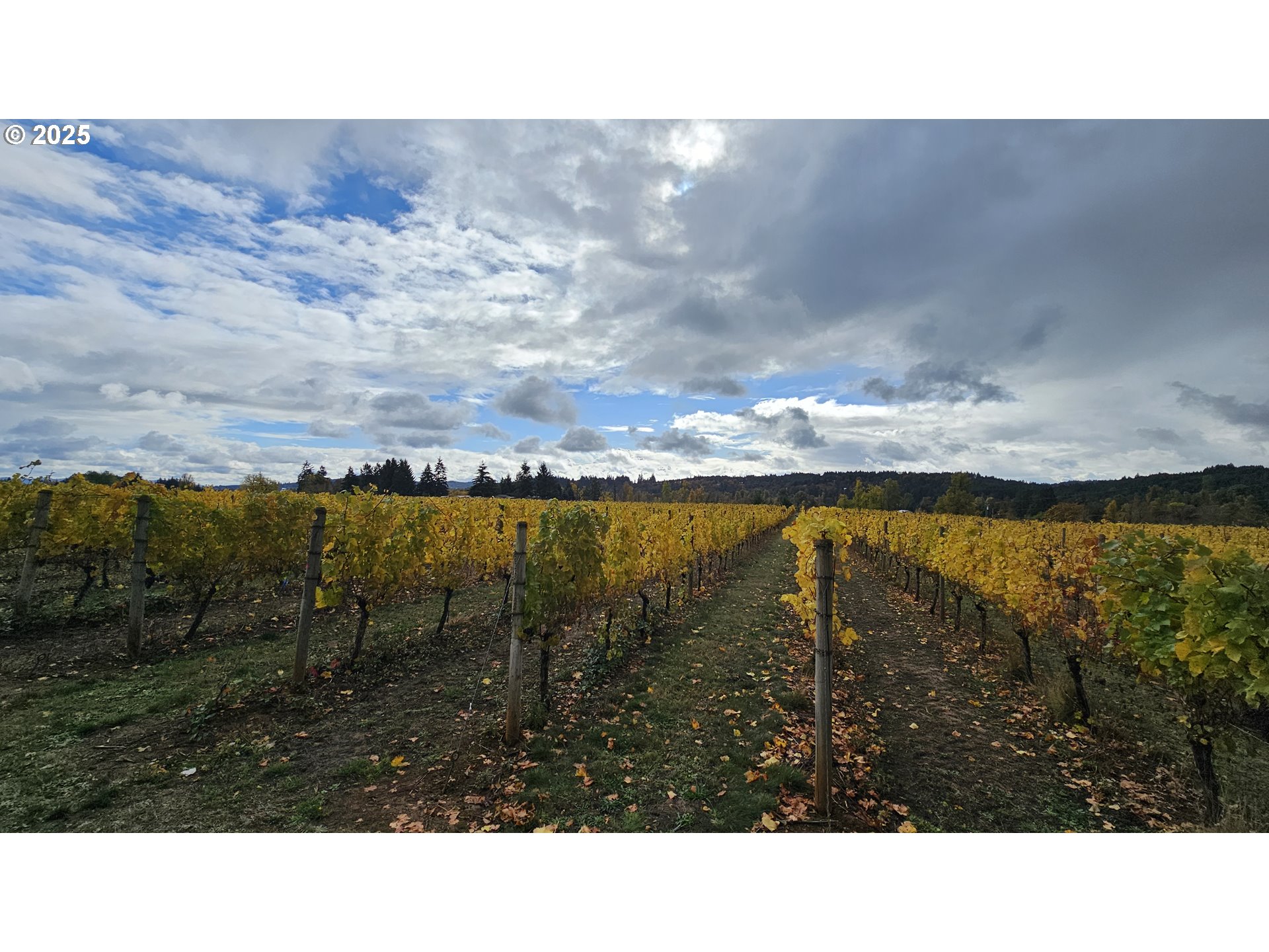 0 Pioneer Road Dallas, OR 97338 - Photo 15 of 18 Gallery Image 15