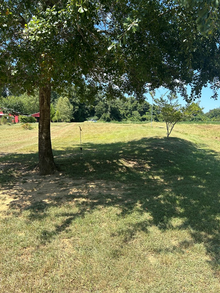 1831 Hooper Cherry Road Dothan, AL 36301 - Photo 2 of 5