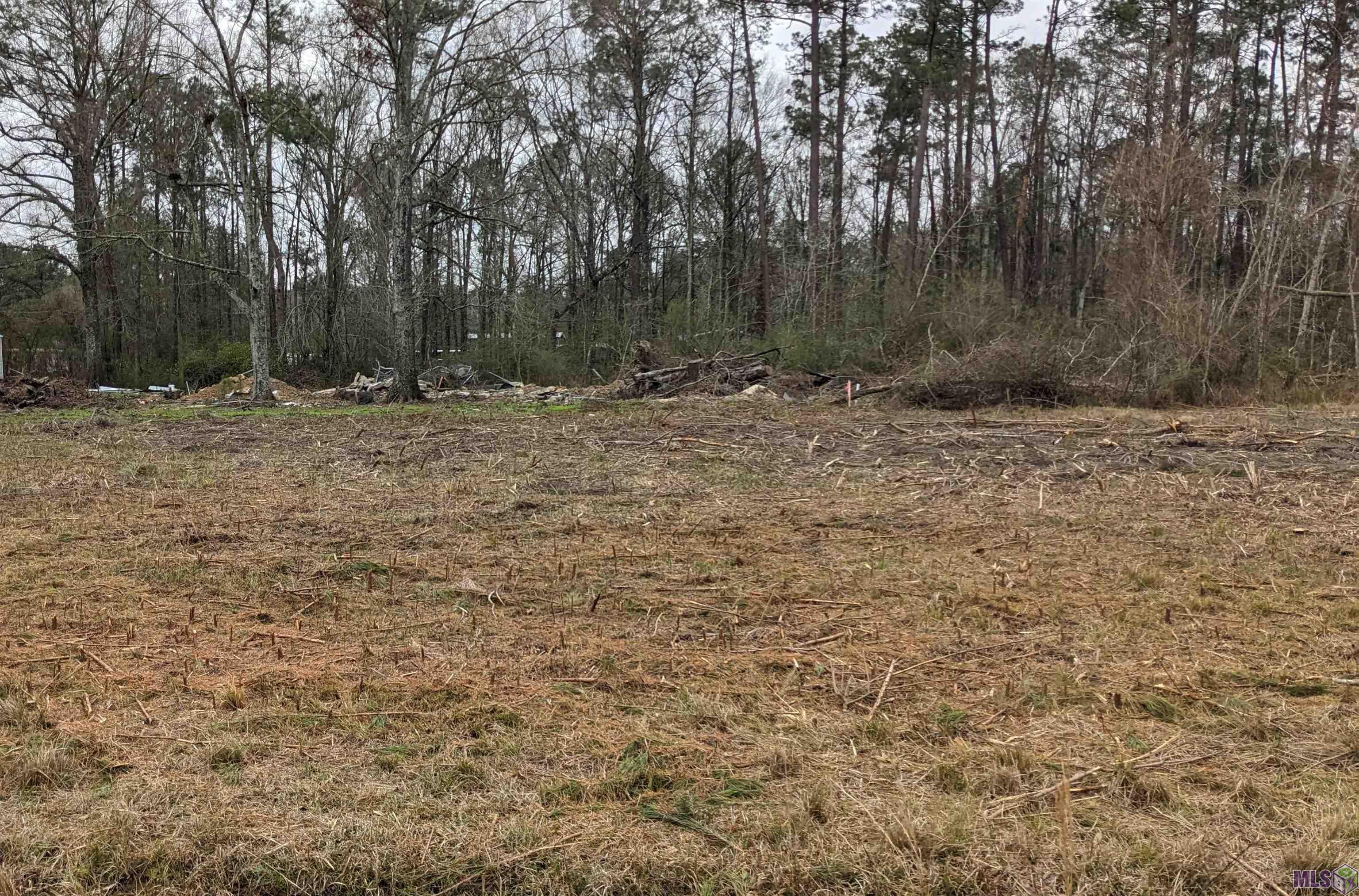 Tbd Lakeview Lane Holden, LA 70744 - Photo 2 of 4