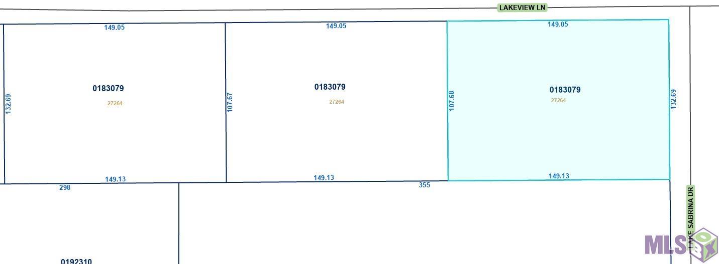 Tbd Lakeview Lane Holden, LA 70744 - Photo 3 of 4