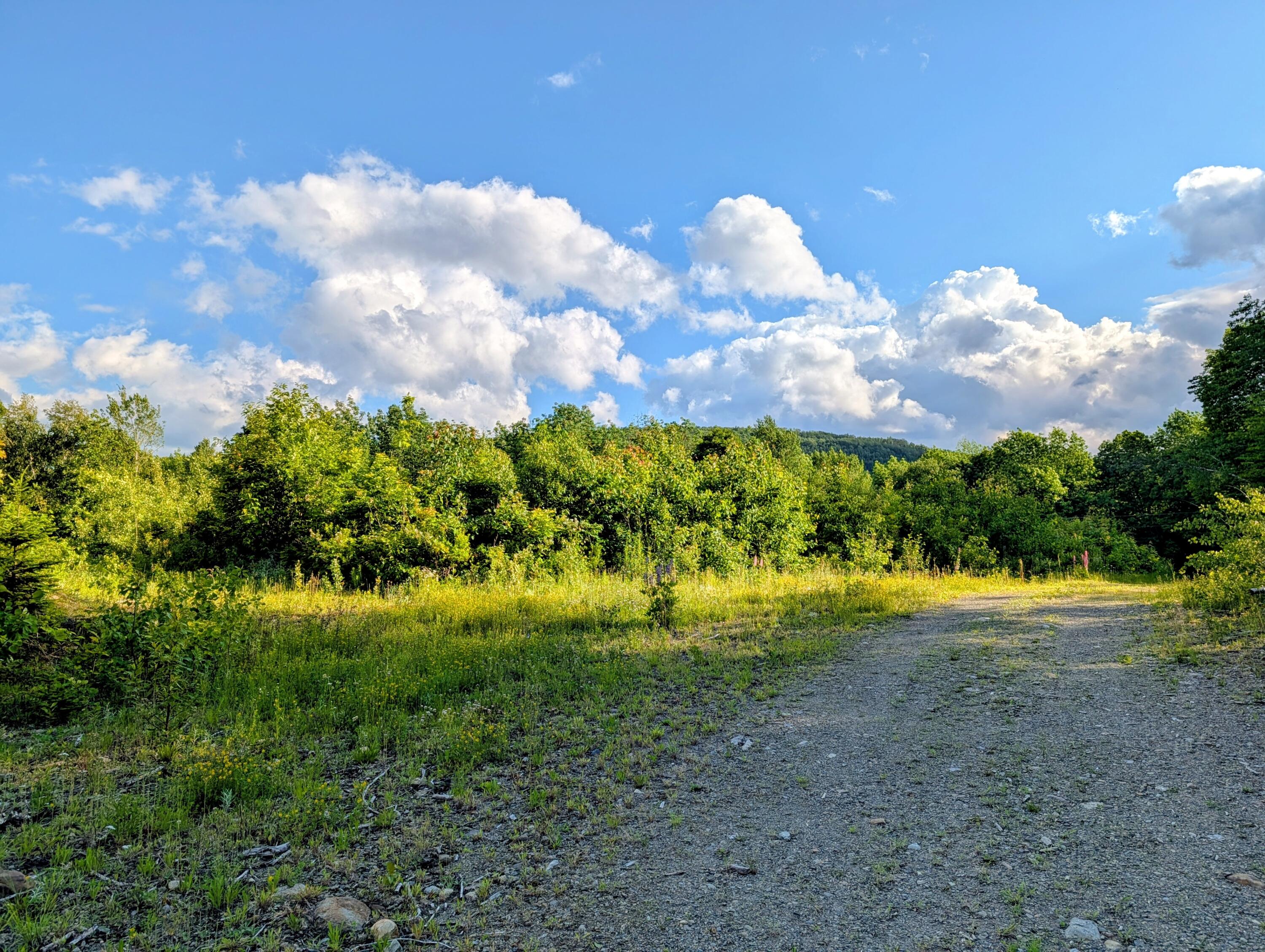 147 Calvin Gray Road Madrid Township, ME 04966 - Photo 57 of 68 147 Calvin Gray Road