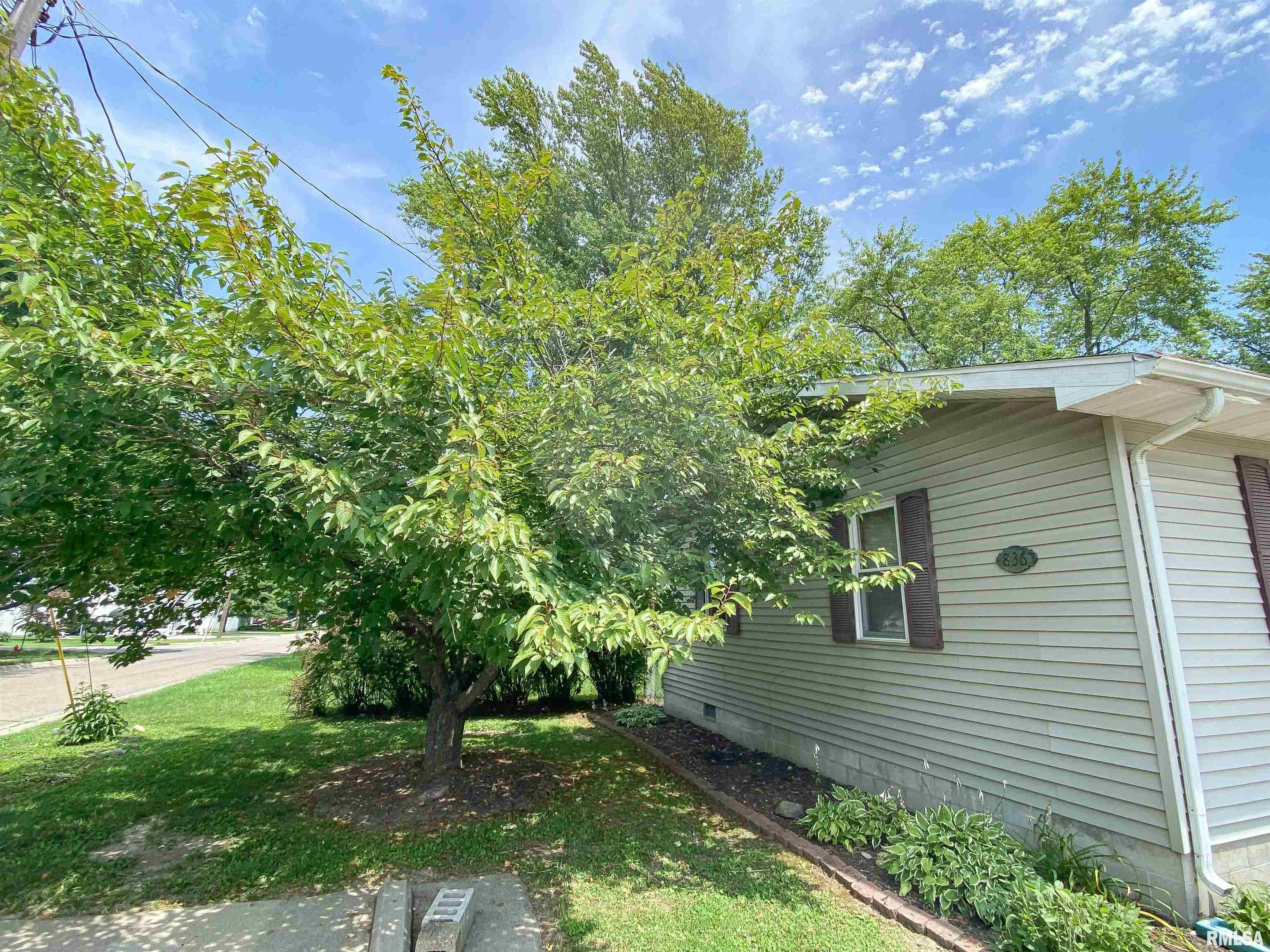 836 East 3rd Street Flora, IL 62839 - Photo 56 of 57 Gallery Image 56