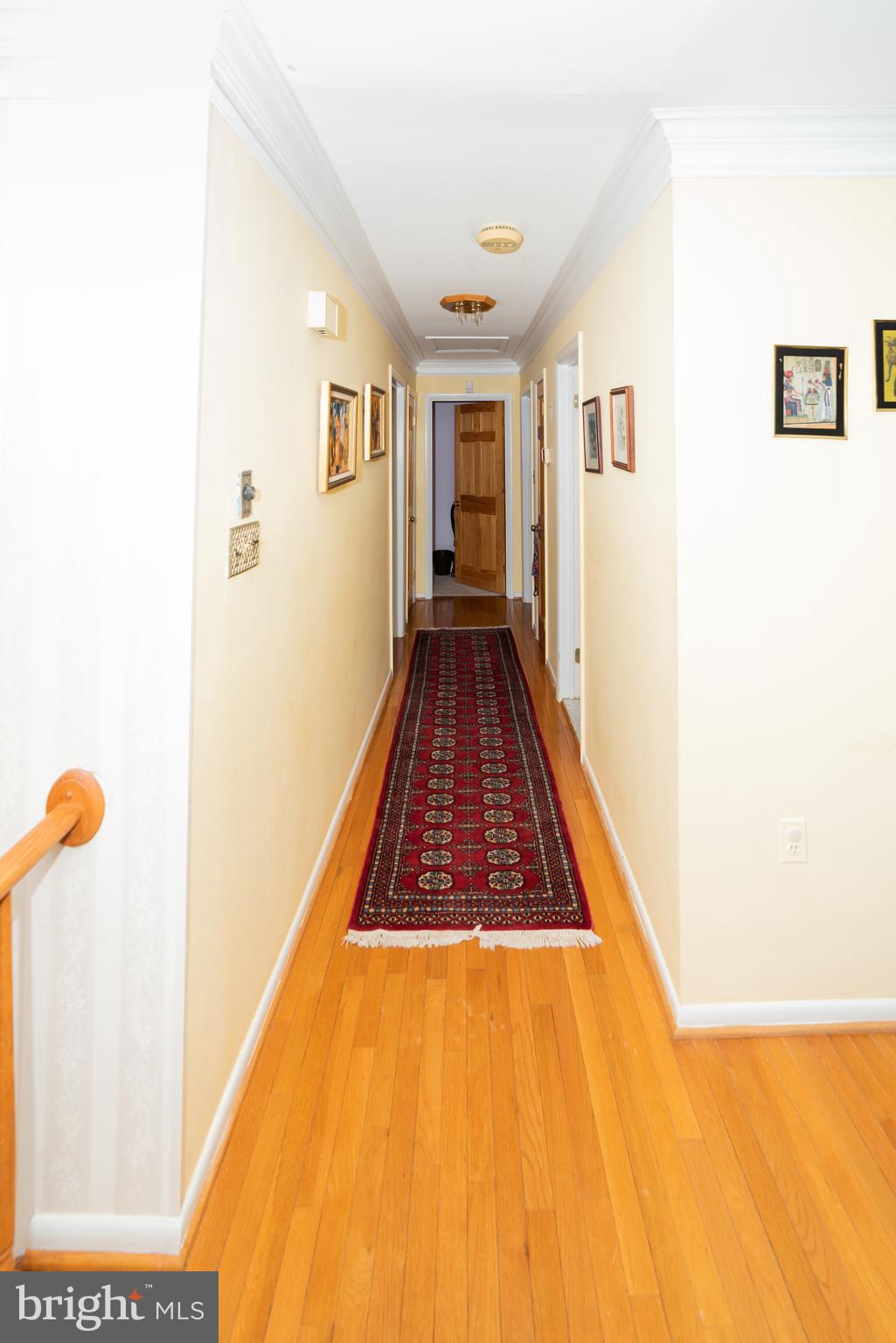 9302 Loughran Road Fort Washington, MD 20744 - Photo 9 of 45 Main floor Hallway