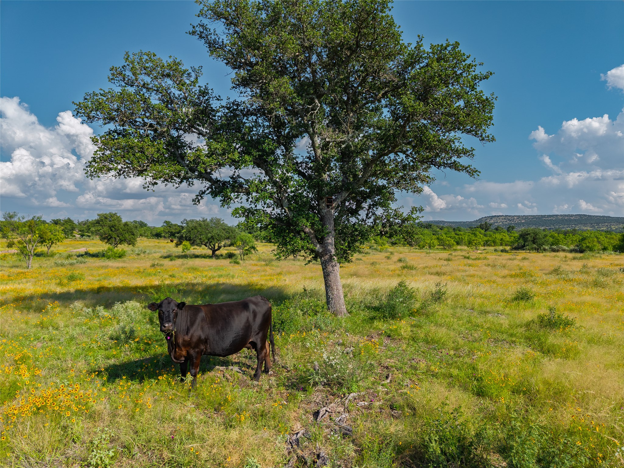 110 County Road 110 Road Llano, TX 78643 - Photo 4 of 18