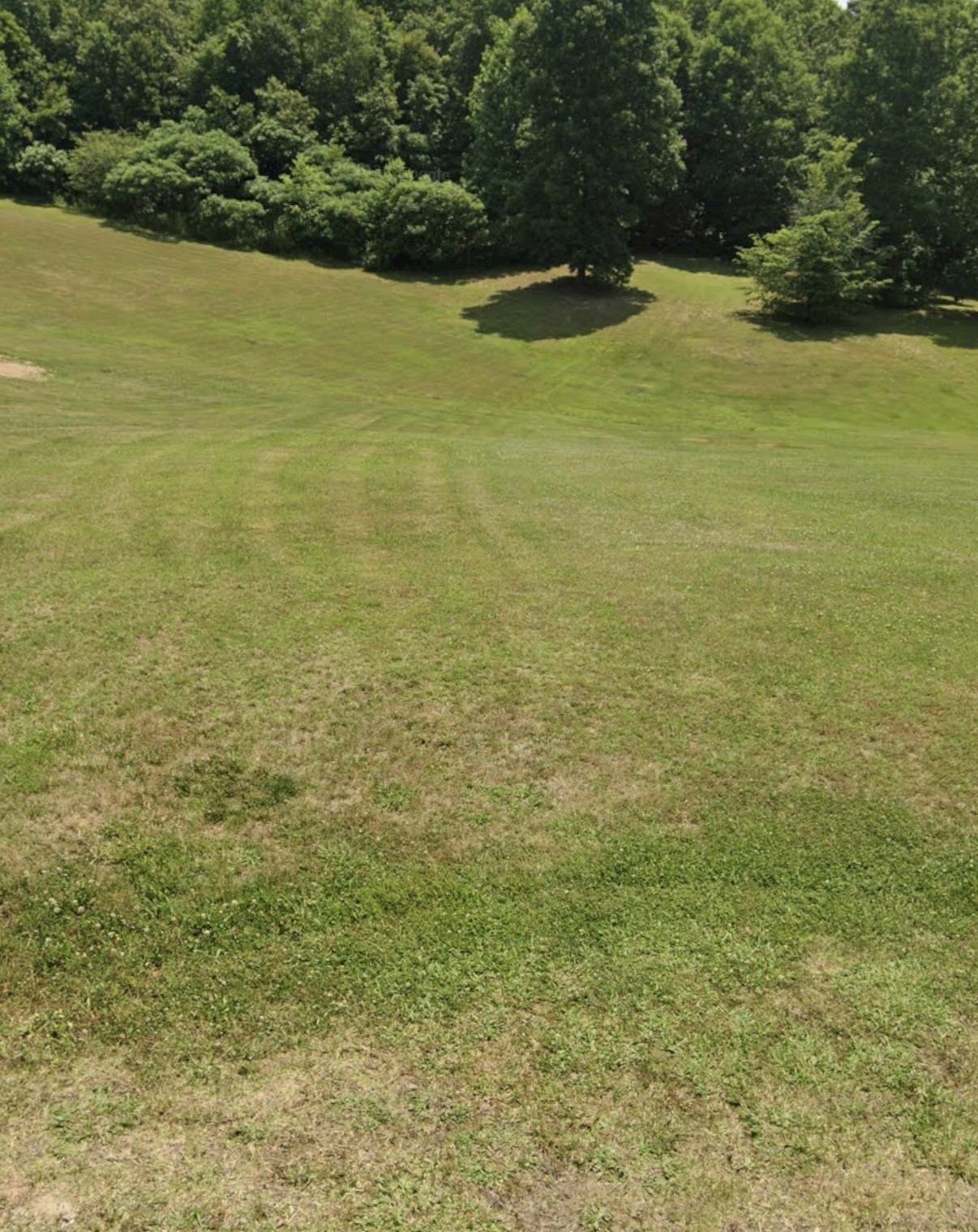 4307 Surji Circle Centerville, TN 37033 - Photo 1 of 3