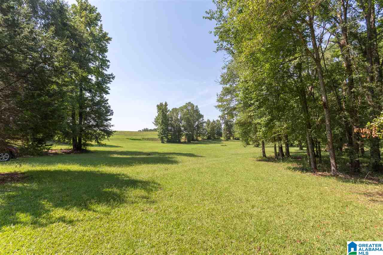 724 Jonesview Road Talladega, AL 35160 - Photo 48 of 50