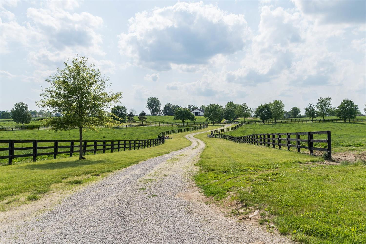 282 Escondida Road Paris, KY 40361 - Photo 21 of 48 Photo 21
