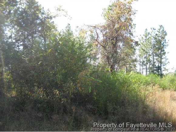 Canady Pond Road Hope Mills, NC 28348 - Photo 1 of 3 Gallery Image 1