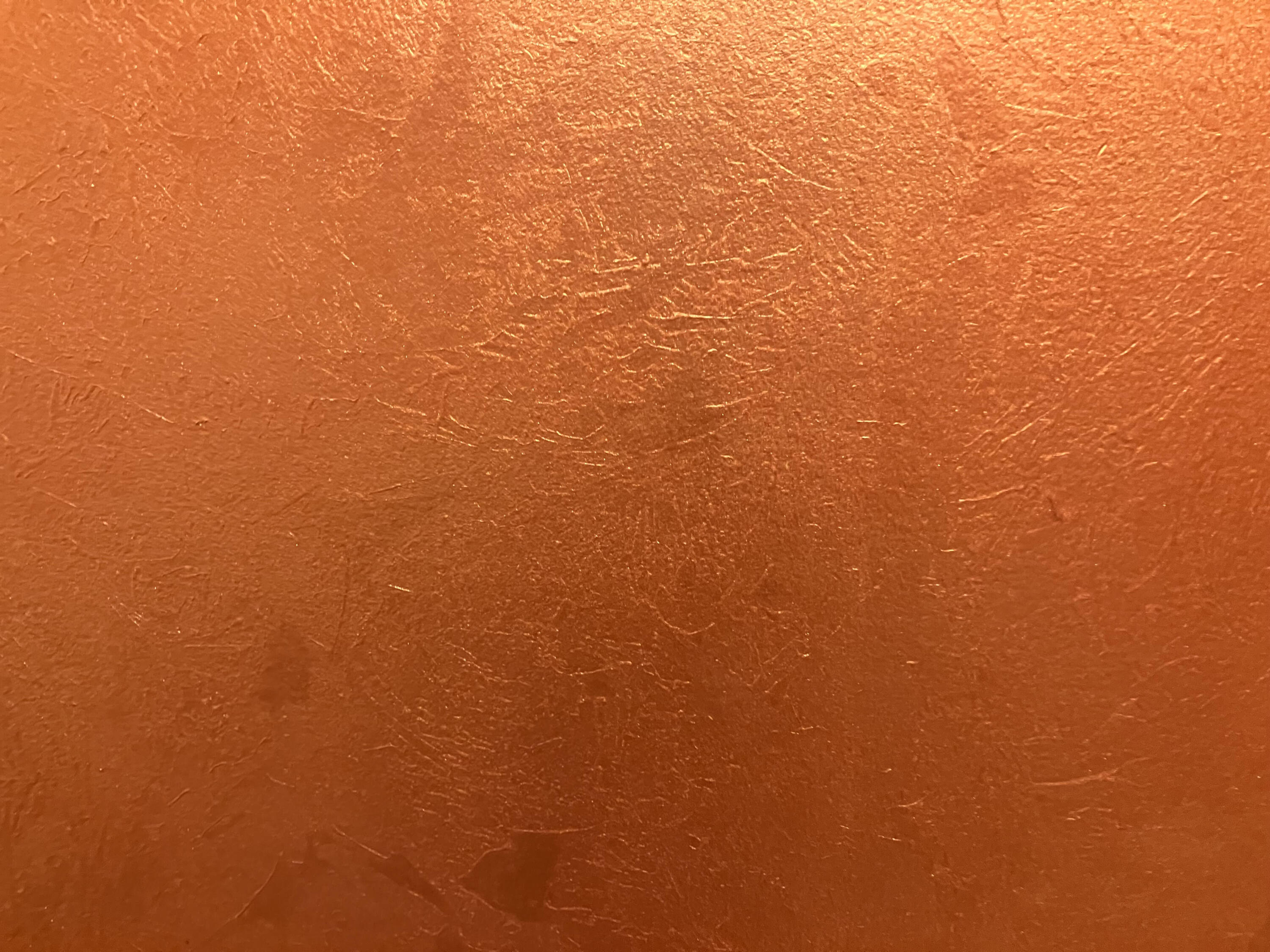 2593 Bluestone Circle Kalamazoo, MI 49009 - Photo 32 of 44 2593 Bluestone Cir_Decorative Finishes