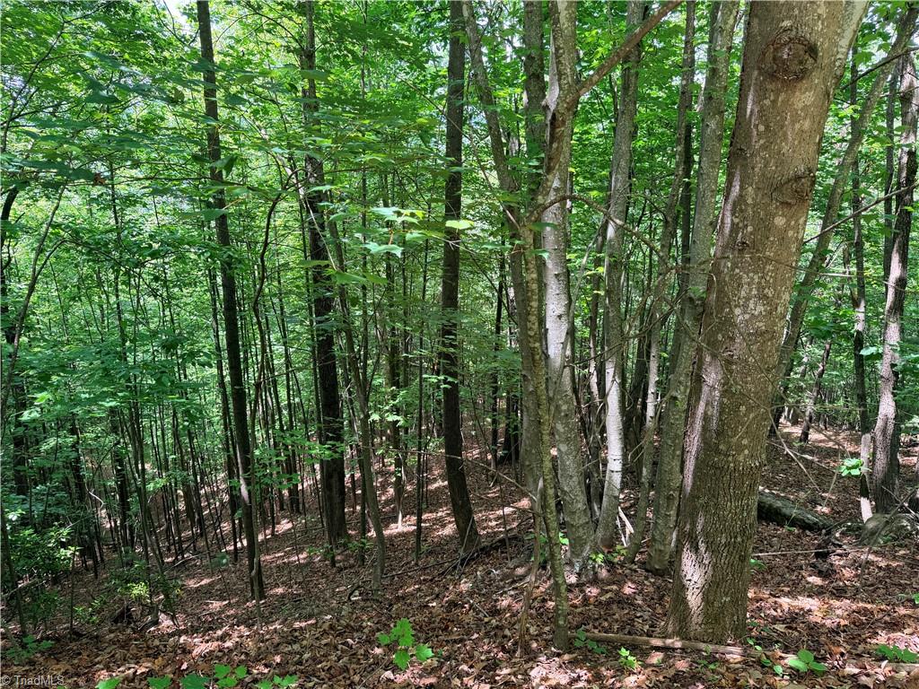 Lot 132 Warren Way Purlear, NC 28665 - Photo 5 of 29