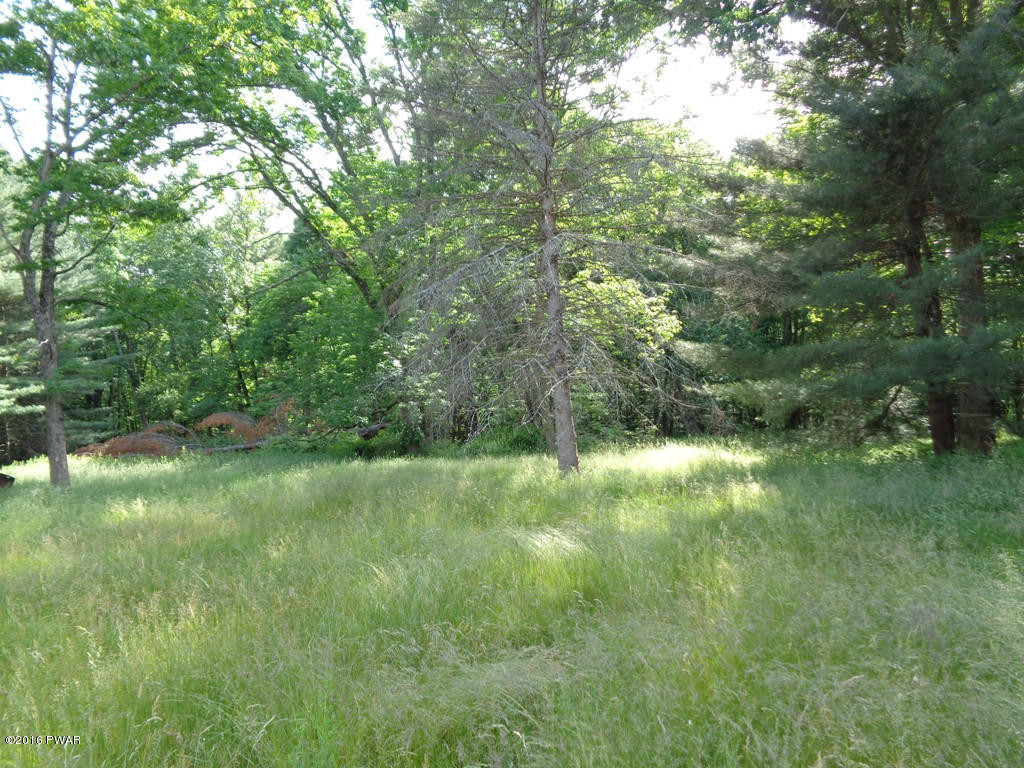 451 Rowland Road Greeley, PA 18425 - Photo 26 of 28 Back Yard (2)