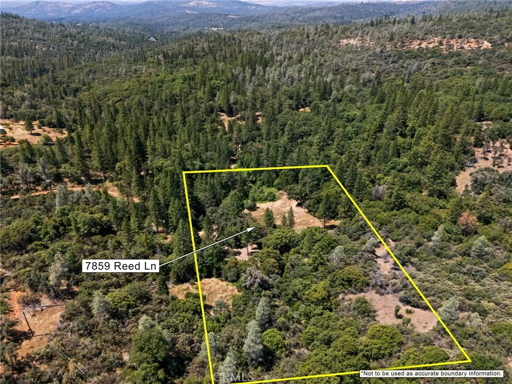 7859 Reed Rackerby, CA 95972 - Photo 3 of 22