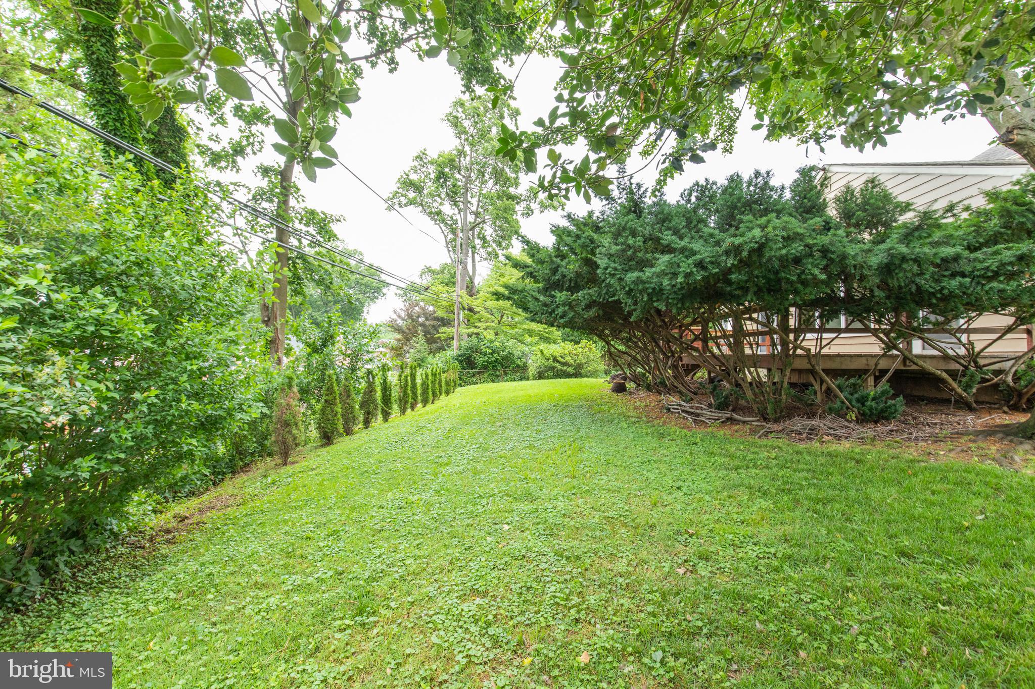 552 Maplewood Road Springfield, PA 19064 - Photo 6 of 30 Yard