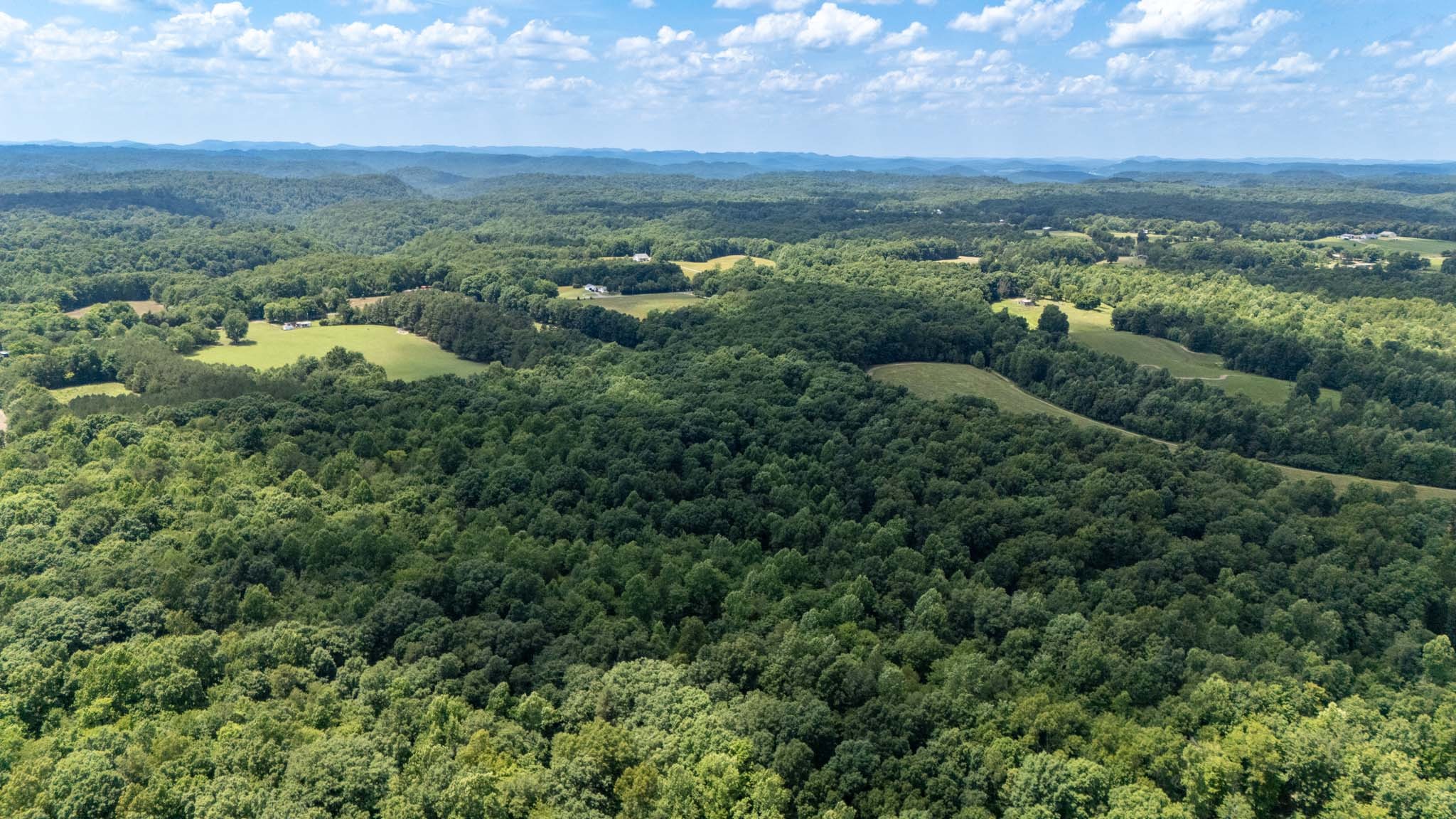 3772 Pea Ridge Road Liberty, TN 37095 - Photo 44 of 52