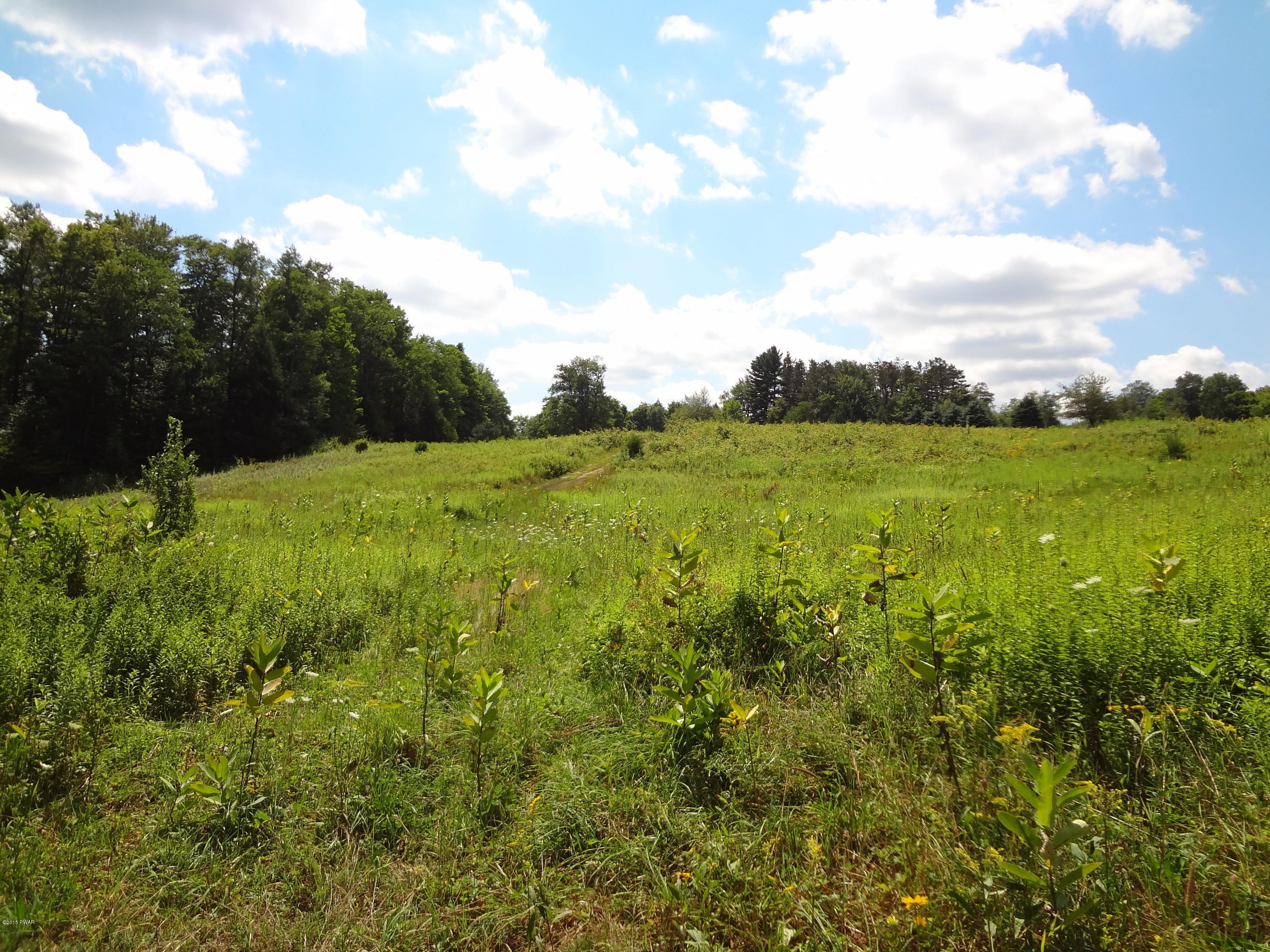 82 Long River Road Newfoundland, PA 18445 - Photo 8 of 13 Land