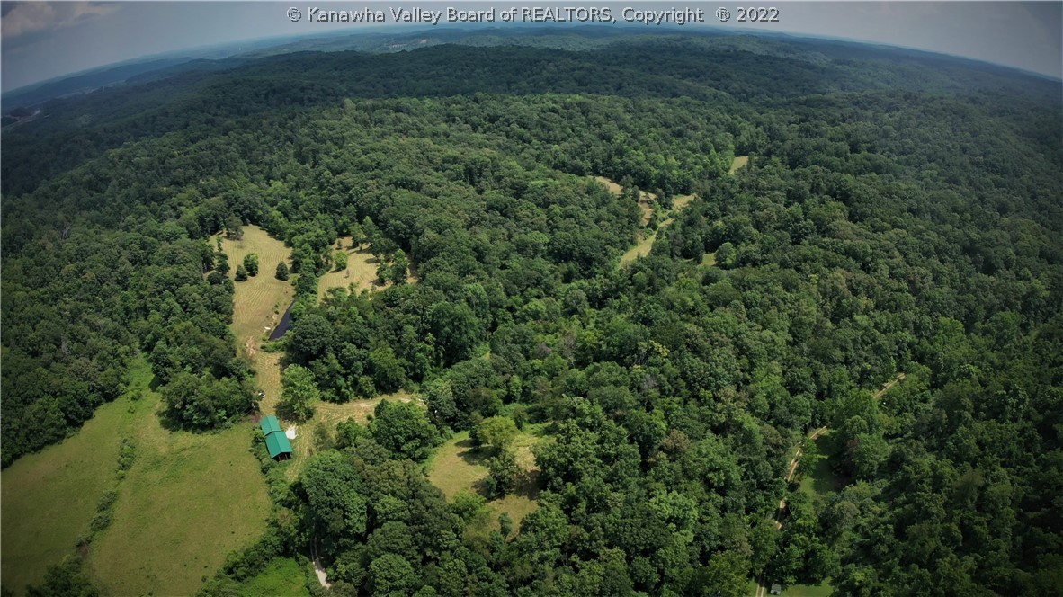 0 Nine Nine Mile Road Southside, WV 25187 - Photo 9 of 14 Gallery Image 9