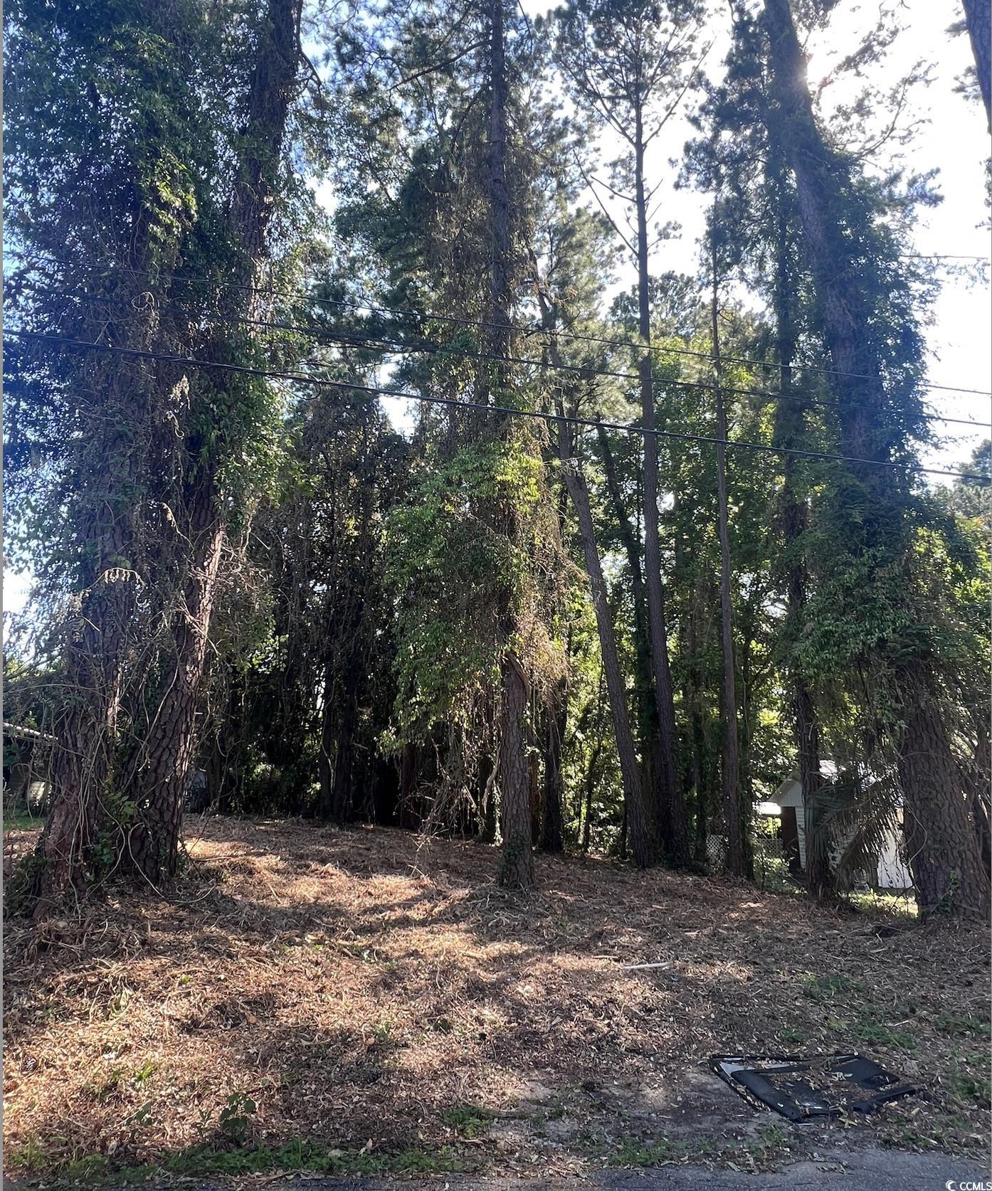 1229 Park Hill Drive Conway, SC 29526 - Photo 4 of 5 View of local wilderness