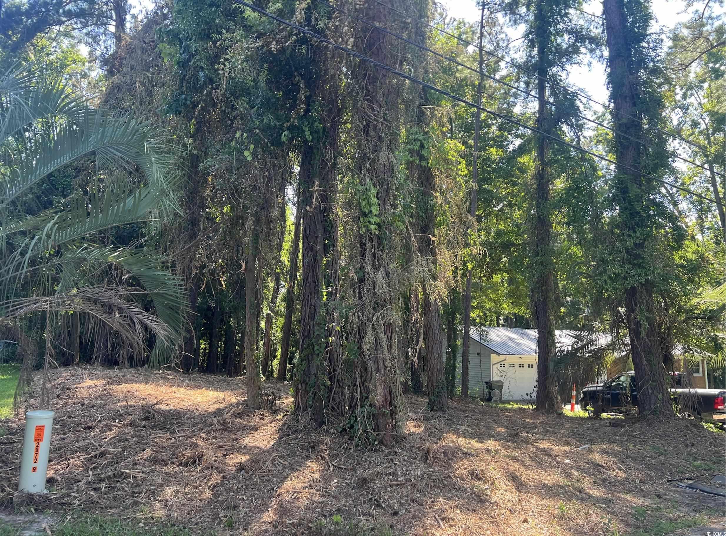 1229 Park Hill Drive Conway, SC 29526 - Photo 5 of 5 View of yard with a garage