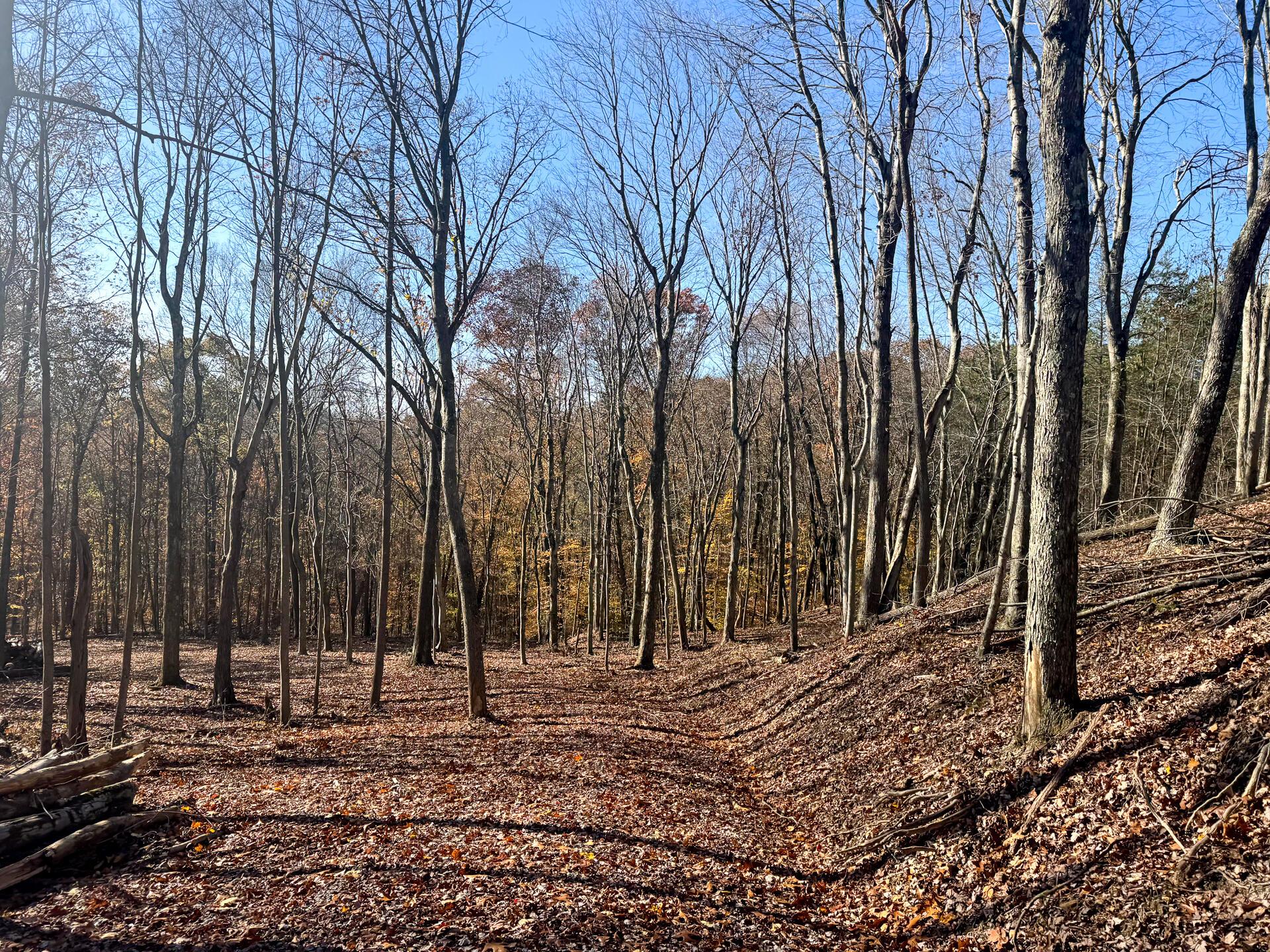680 Nibert Road, Unit PONDS POPLAR RIDGE TRACT 10) Gallipolis, OH 45631 - Photo 46 of 46 CT-46
