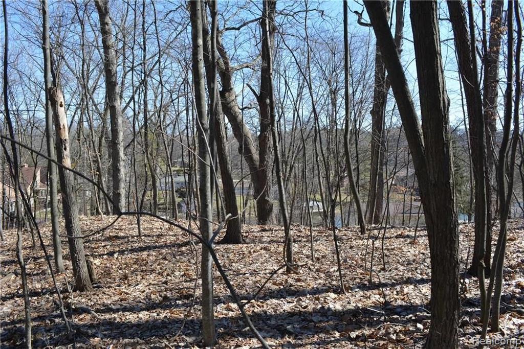 0 Ledgewood Fenton, MI 48430 - Photo 4 of 8